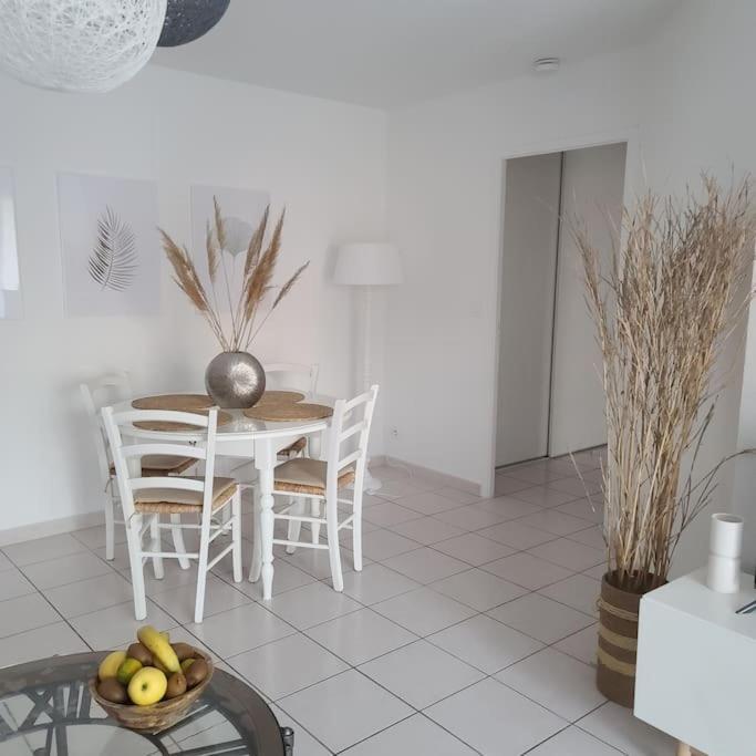 Appartement 63 M2, Tout Confort, Climatise. Saint-Cyprien  Eksteriør bilde
