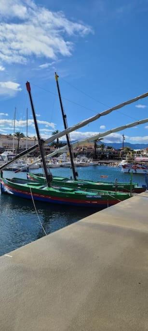 Appartement 63 M2, Tout Confort, Climatise. Saint-Cyprien  Eksteriør bilde