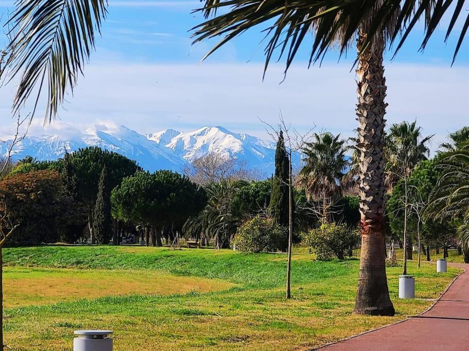 Appartement 63 M2, Tout Confort, Climatise. Saint-Cyprien  Eksteriør bilde